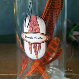 Phoenix Feathers in glass jar