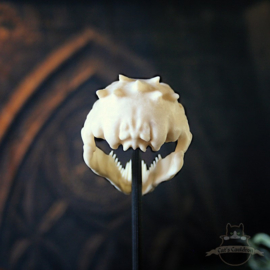 Basilisk skull in glass bell jar