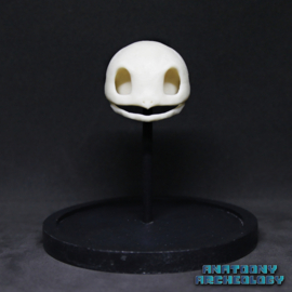 Anime figure #007 skull in bell jar