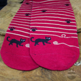 Donkerrode sokken gestreept met kattenpootjes mt.35-40