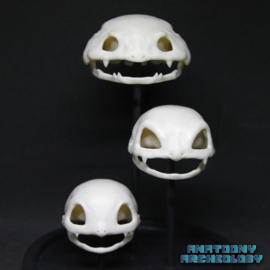 Anime figures #001 #002 #003 skulls in bell jar