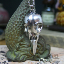 Bird skull necklace witch style silver look