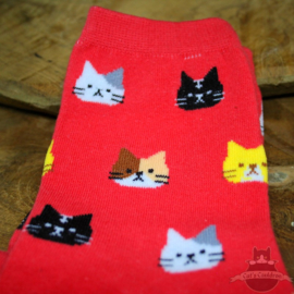 Rote Socken mit Katzenköpfen Größe 36-41