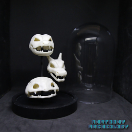 Anime figures #003 #006 #009 skulls in bell jar