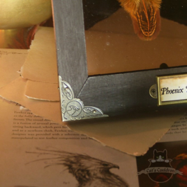 Phoenix Feathers in houten lijst