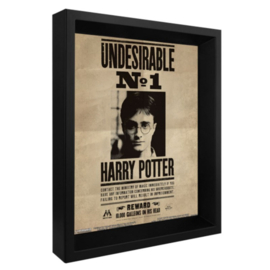 Harry Potter / Sirius Black bewegende 3D Poster Officieel