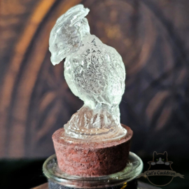 Phoenix Ashes with feathers in jar