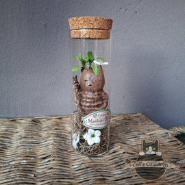 Baby Mandrake Sprout (waving)