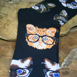 Trendige schwarze Socken mit Katzen mit Brille Gr. 39-44