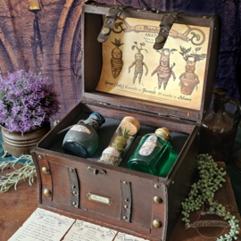 Mandrake Anatomy and Potions chest