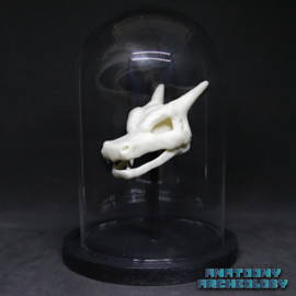 Anime figure #006 skull in bell jar