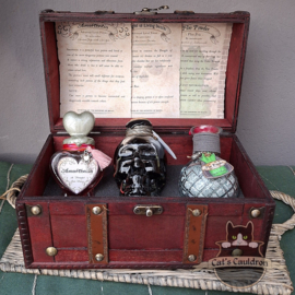 Potion set Amortentia, Trank der Lebenden Toten, Flohpulver