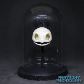 Anime figure #007 skull in bell jar