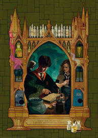 Harry Potter Potions Class Puzzel 1000 stukjes Officieel