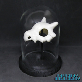 Anime figure #104 skull in bell jar