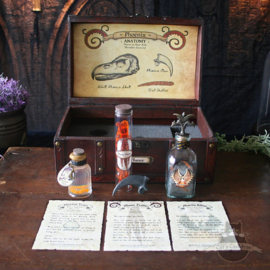 Phönix Holztruhe mit Phönix Potion Zutaten