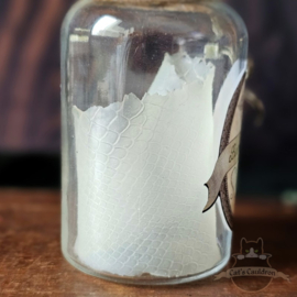Boomslang Skin in potion bottle
