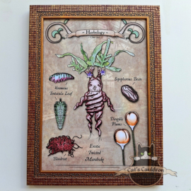 Herbology art print in A4 lijst
