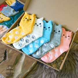 Cat socks with ears 5 pairs stretch size 36-41