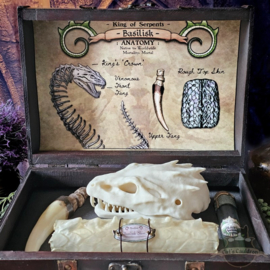 Basilisk XL Anatomy Potions Chest