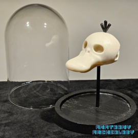 Anime figure #054 skull in bell jar