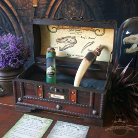 Basilisk Anatomy Potions Chest