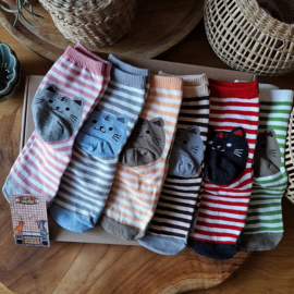 Kattensokken gestreept met kattenkop 6 paar maat 36-41