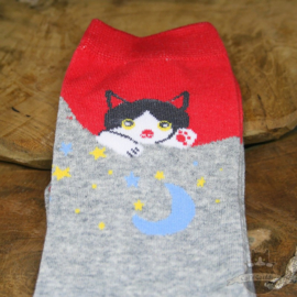 Cats socks mix designs 5 pair stretch size 36-41