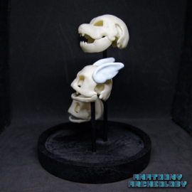 Animatie figuren #007 #008 #009 schedels in stolp
