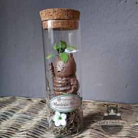 Baby Mandrake Sprout (waving)