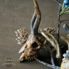 Kerstmis set van 4 schedel ornamenten