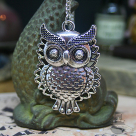 Owl necklace with vintage look on long chain