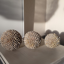 Decoratieve Ballen Kauri Beige  3 maten