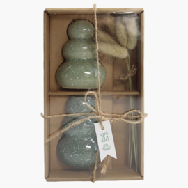 Giftset Vaasjes met droogbloemen groen en roze