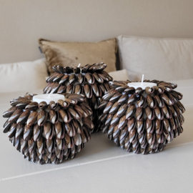 Kaarshouder Schelp Brown 3 maten