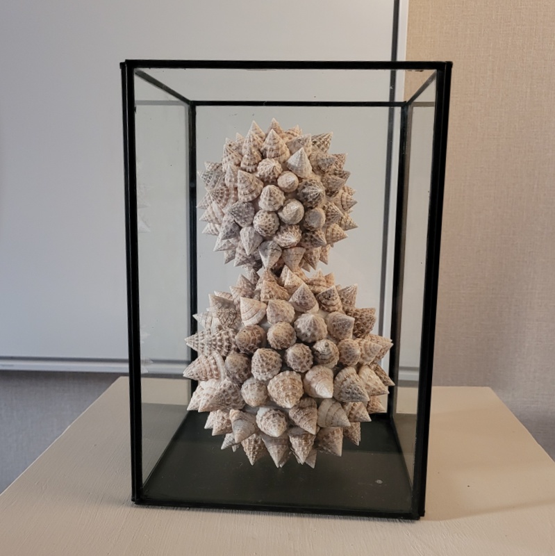 Deco Bal Schelp BOLA