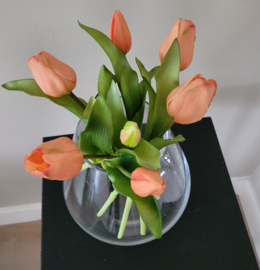 Bos tulpen