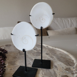 Shiva Eye schelp op voet 2 maten