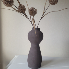 Tak Allium Bruin