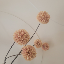 Decoset Compleet Peach Natural