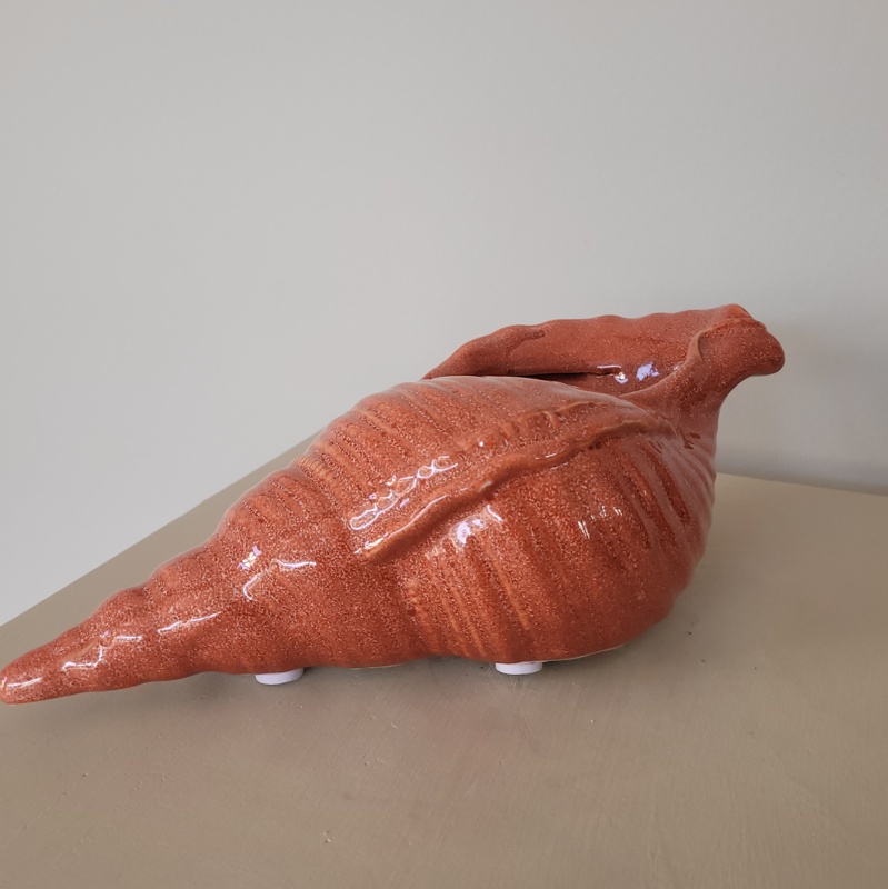 Ornament Schelp