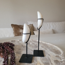 Shiva Eye schelp op voet 2 maten