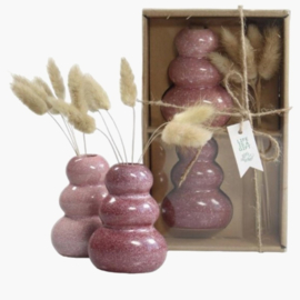 Giftset Vaasjes met droogbloemen groen en roze