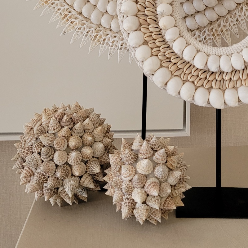Deco Bal Schelp BOLA