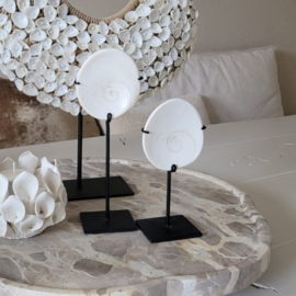 Shiva Eye schelp op voet 2 maten