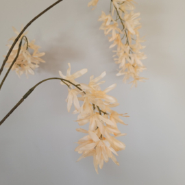Bloesemtak Peach