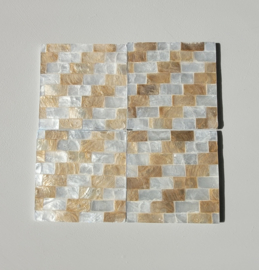 Onderzetters Capiz Schelp S/4 diverse varianten