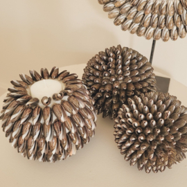 Schelpen Bollen Brown