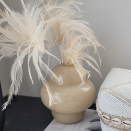 Vaas Boule M/L