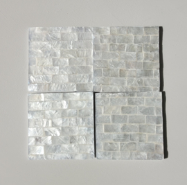 Onderzetters Capiz Schelp S/4 diverse varianten